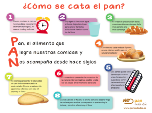 Infografía ¿Cómo se cata el pan?